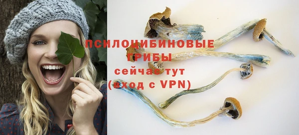 первитин Мегион