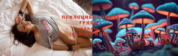 соль ск Михайлов