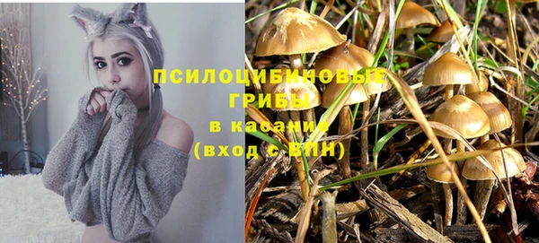 соль ск Михайлов