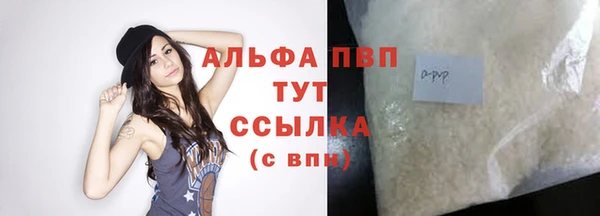 прущие грибы Михайловка