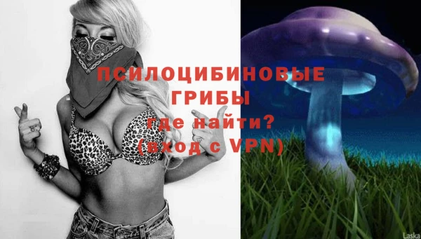 прущая мука Медногорск