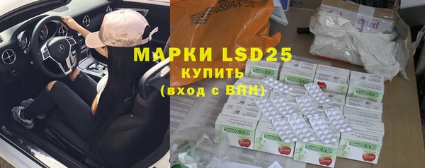 прущие грибы Михайловка